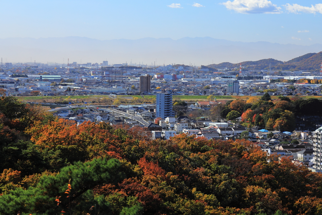 紅葉と街