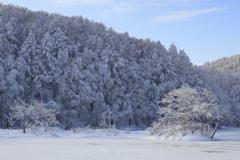 湖畔の雪化粧
