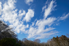 つかの間の青空