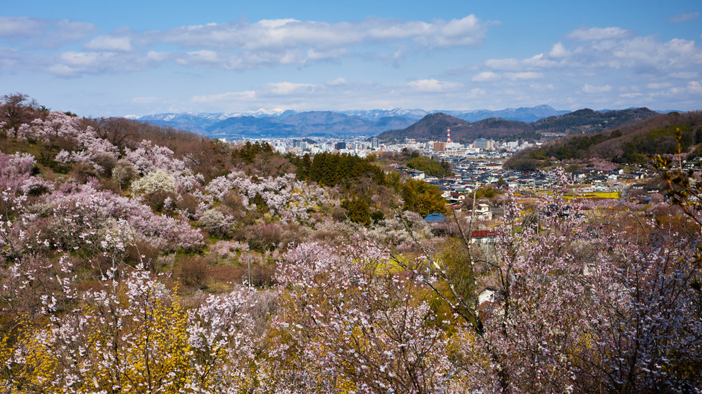 春迎え