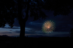 夜に咲く