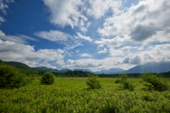 夏の小田代原