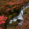 紅葉に囲まれて