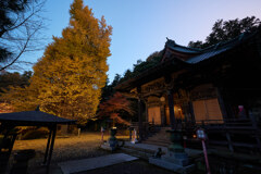 銀杏と神社