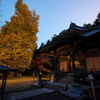 銀杏と神社