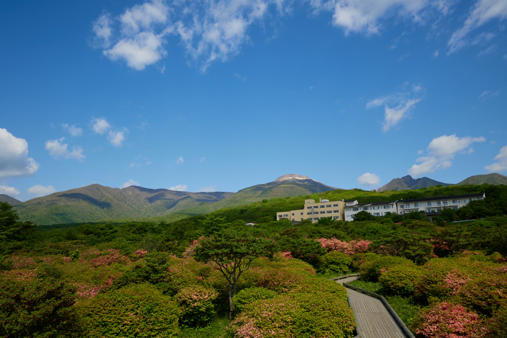 那須岳とツツジ