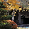平家の里