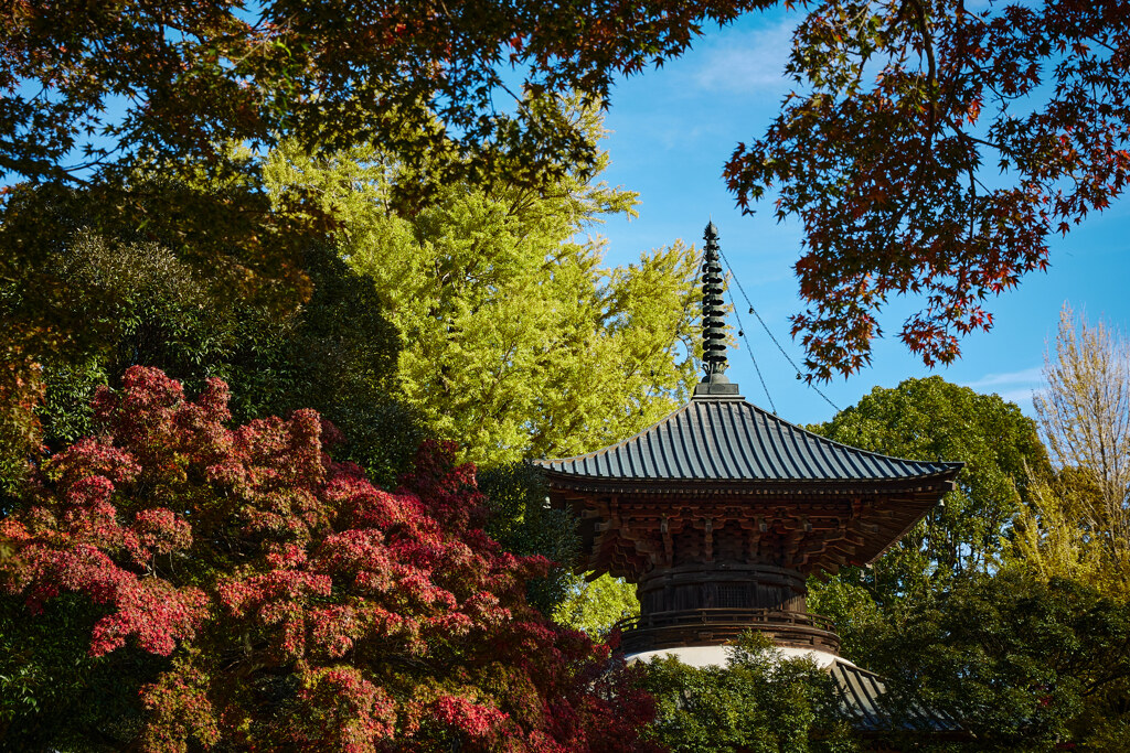 鑁阿寺