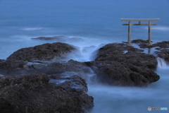 神磯の鳥居