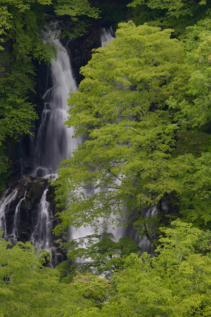 霧降の滝