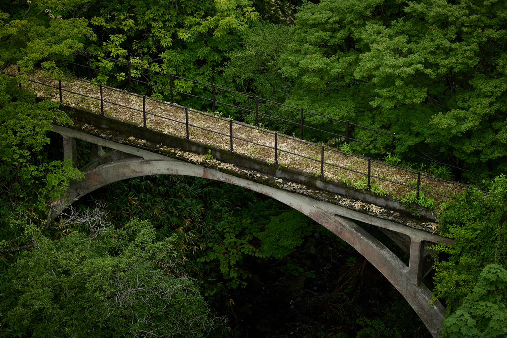 廃れた橋