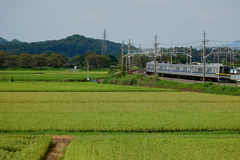 田園を走る