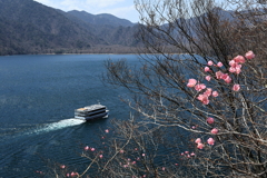 日光の春
