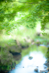 あついけどきれい through hector 73mm f1.9