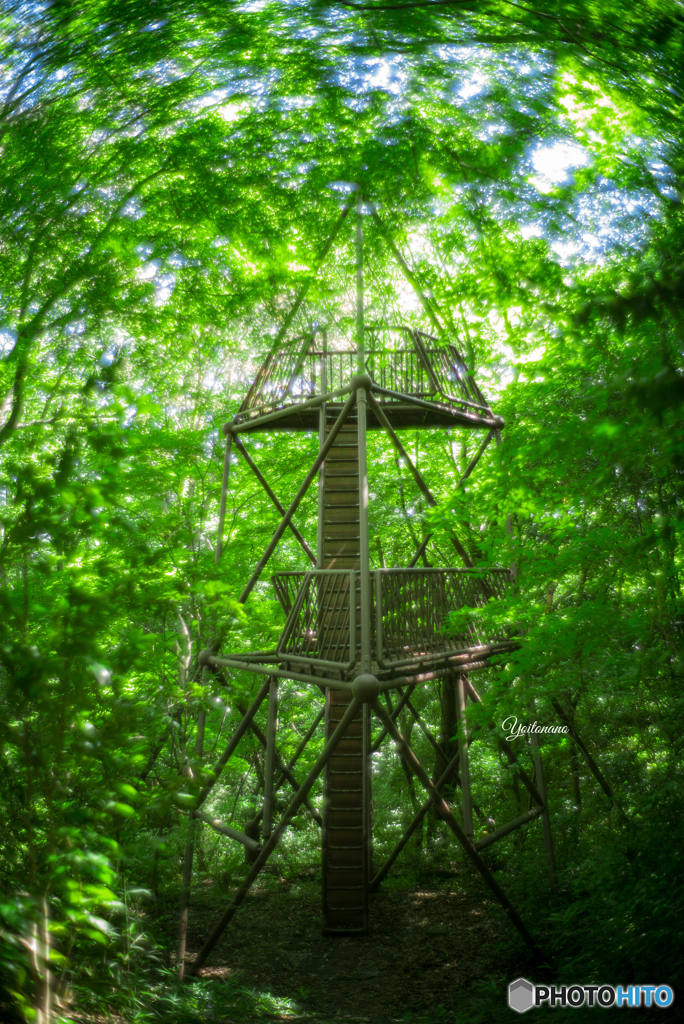 summilux35 2nd 1.4F開放の魔力