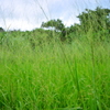MTR_6309