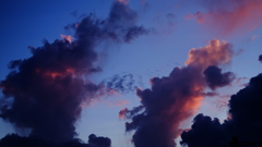 light purple