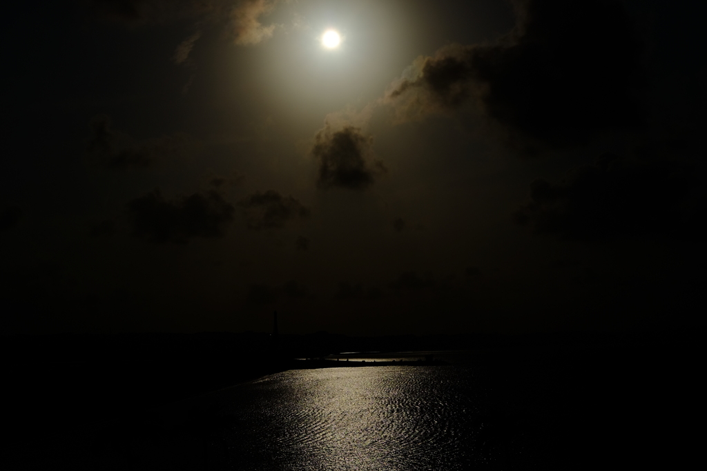 DSCF2808