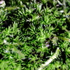 DSCF6922