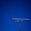 DSCF6956