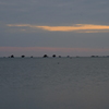 DSCF4191