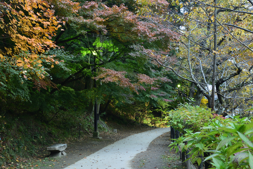 秋の臥竜公園①