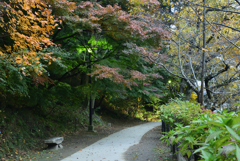 秋の臥竜公園①