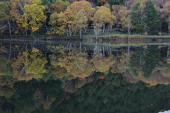 水鏡に映る紅葉