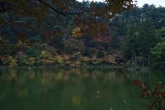 秋の臥竜公園③