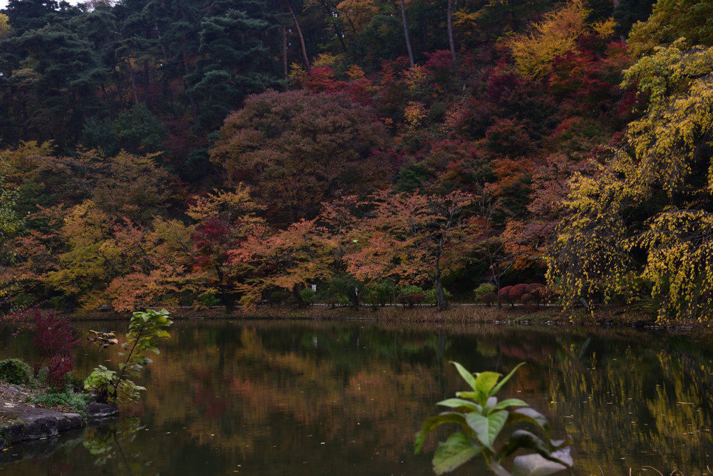 秋の臥竜公園②