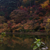 秋の臥竜公園②