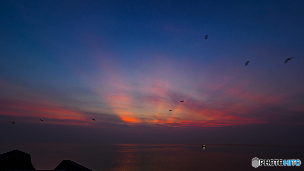 夕日巡る