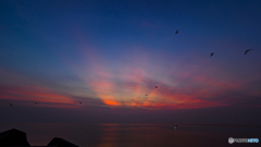 夕日巡る