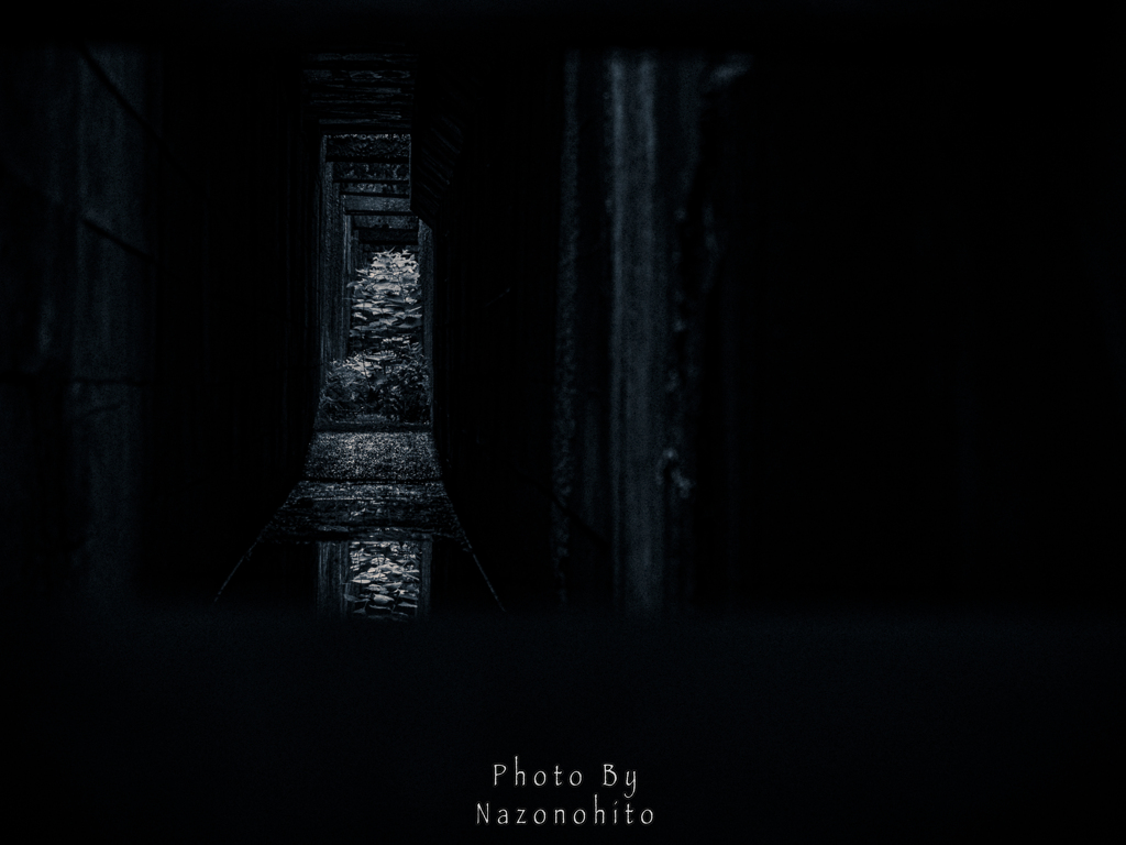 Snapshots -1-