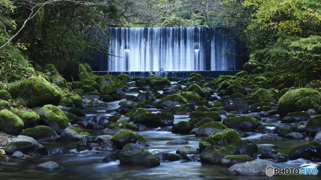 行き慣れた沢