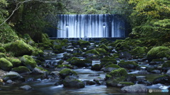 行き慣れた沢