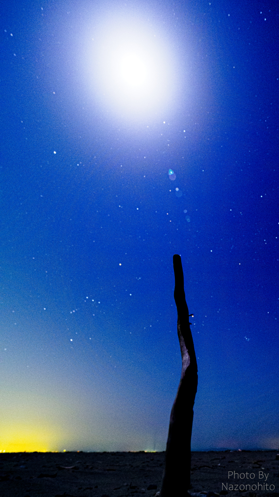 半月の空 宙目指す