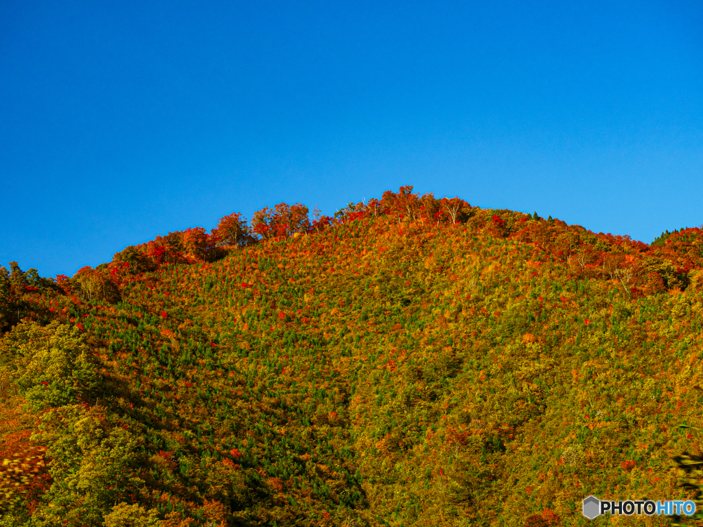 紅の頂