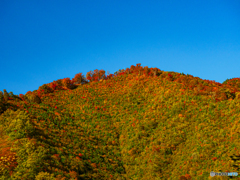 紅の頂