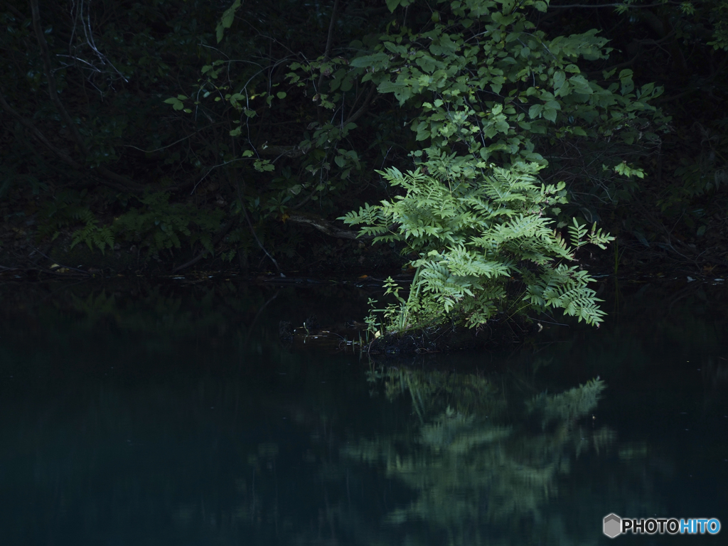 水鏡の白池-みずかがみのしろいけ-