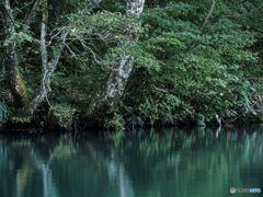 白池の水面-しろいけのみなも-