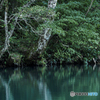 白池の水面-しろいけのみなも-
