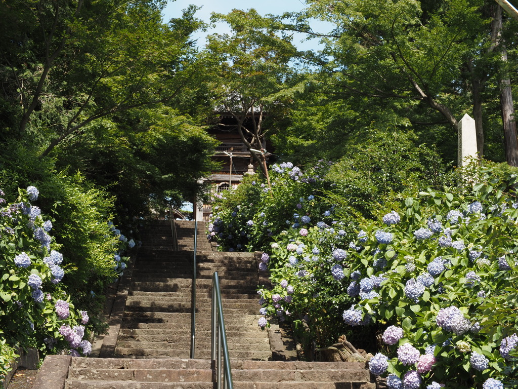 長慶寺にて①