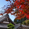 秋空ともみじ