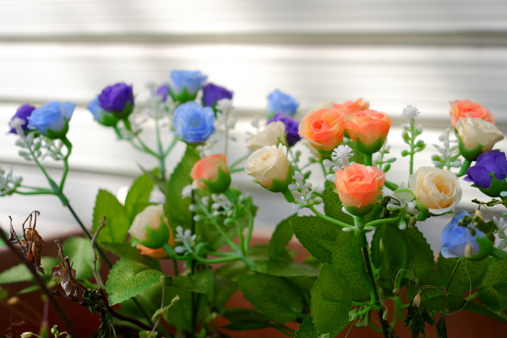 偽りの花