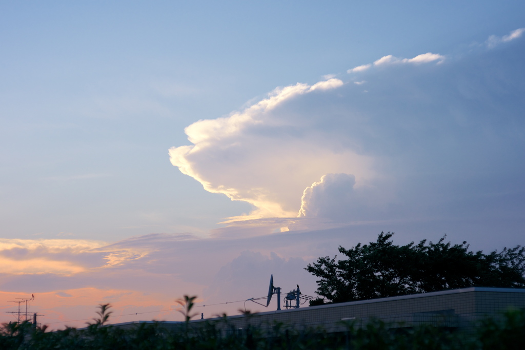 夕暮れの夏雲