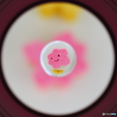 宙玉 × すぽんじ