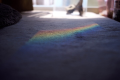 部屋の中の虹