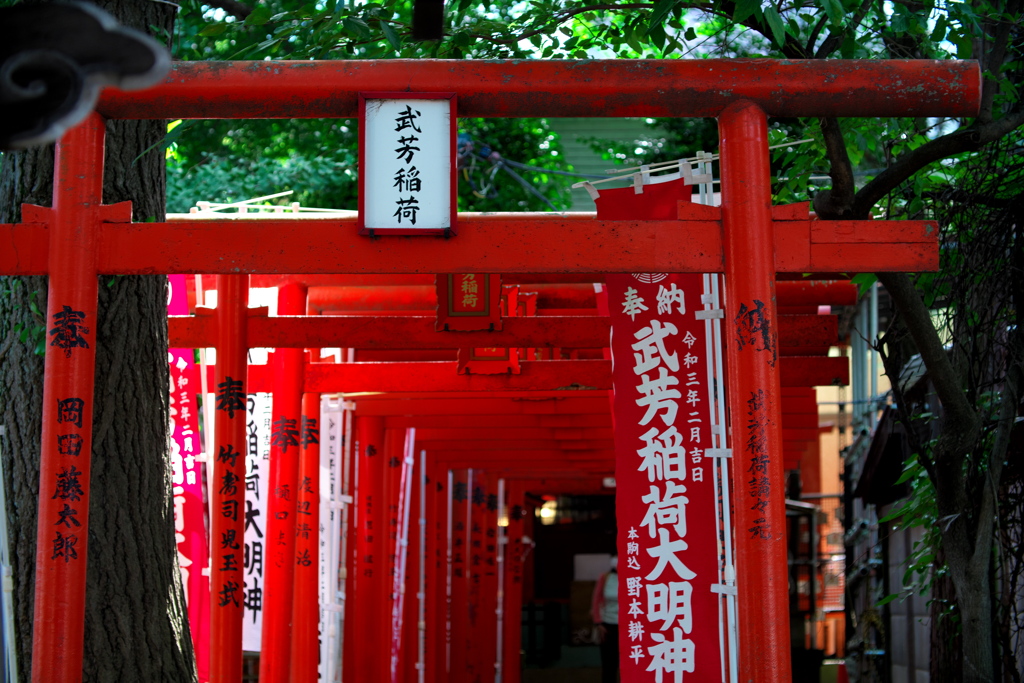 連なる鳥居