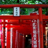 連なる鳥居